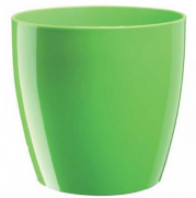 VASO RIO VERDE